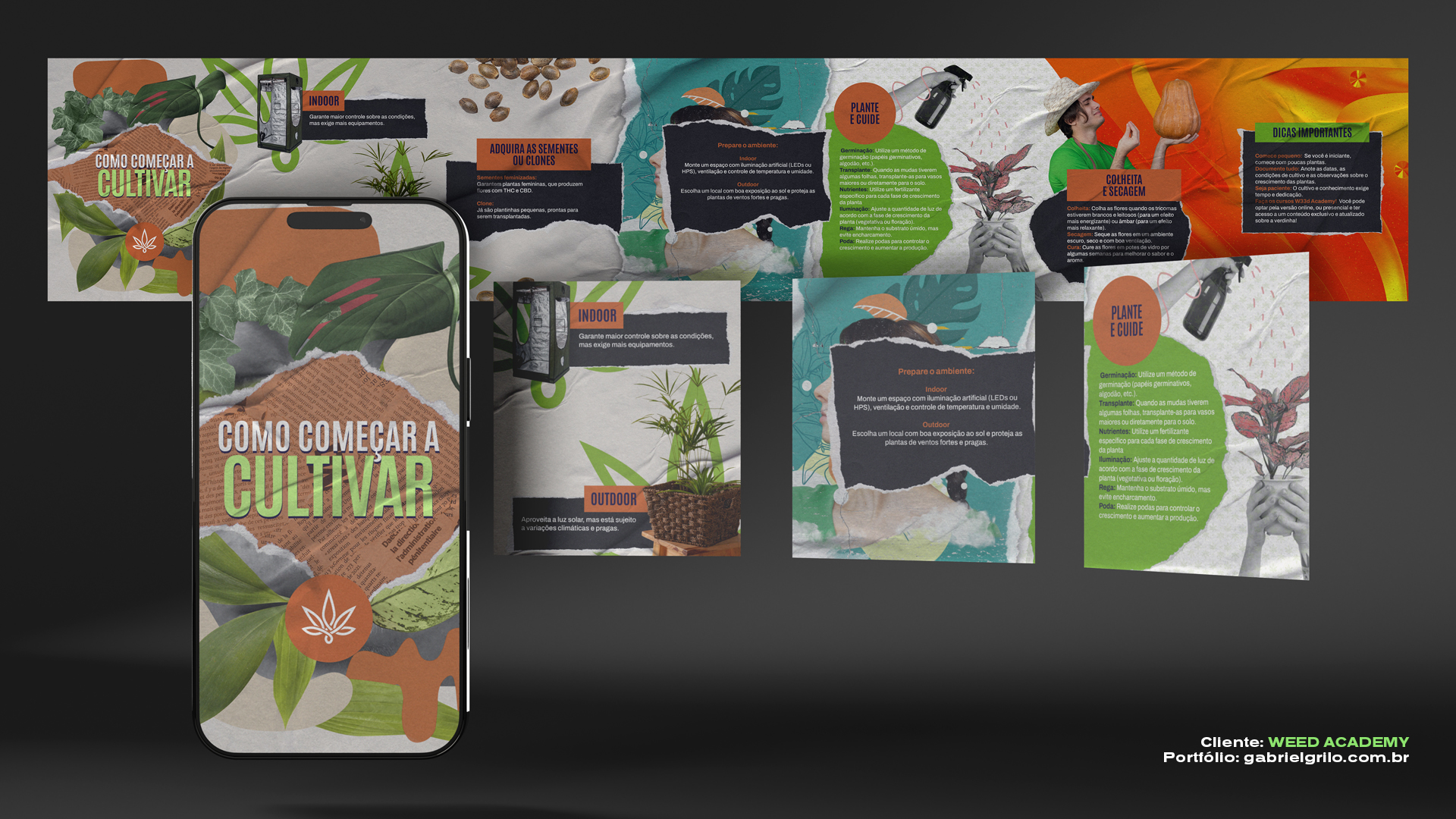 PORTFÓLIO CARROSSEL WEED ACADEMY COMO CULTIVAR
