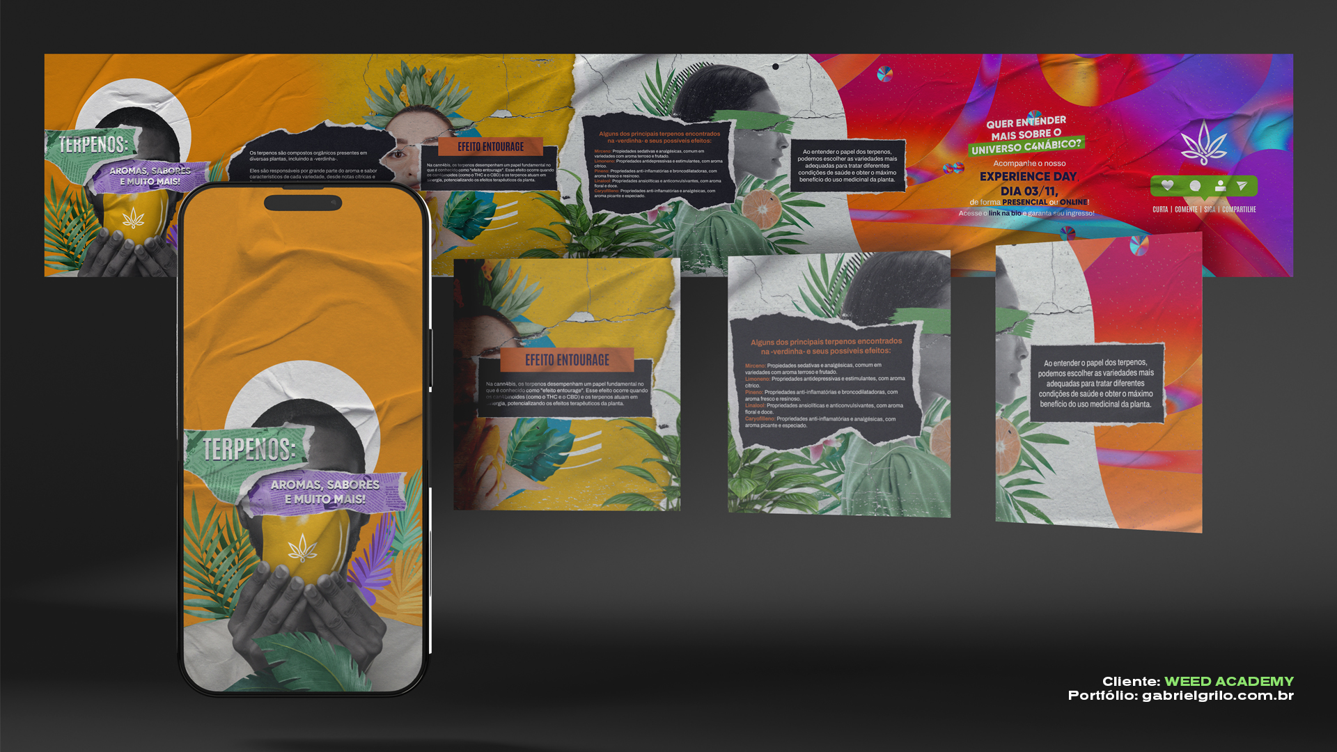 PORTFÓLIO CARROSSEL WEED ACADEMY TERPENOS
